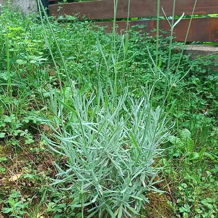 Casa vacanze Pyramid House Visoko