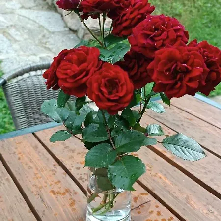 Pyramid House Casa vacanze